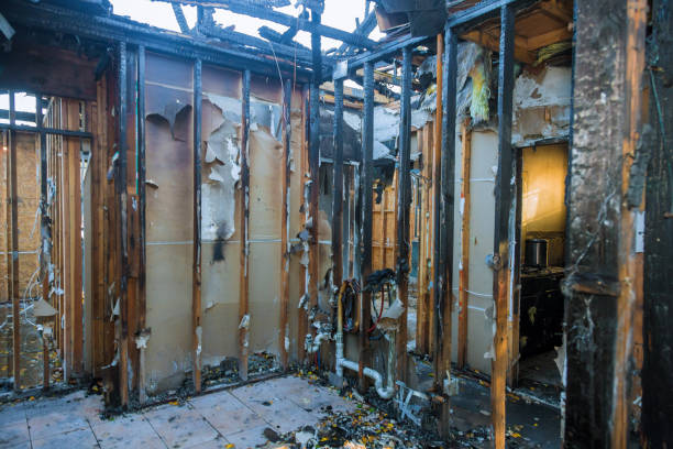 Professional Smoke Damage Removal technician working in New London, OH